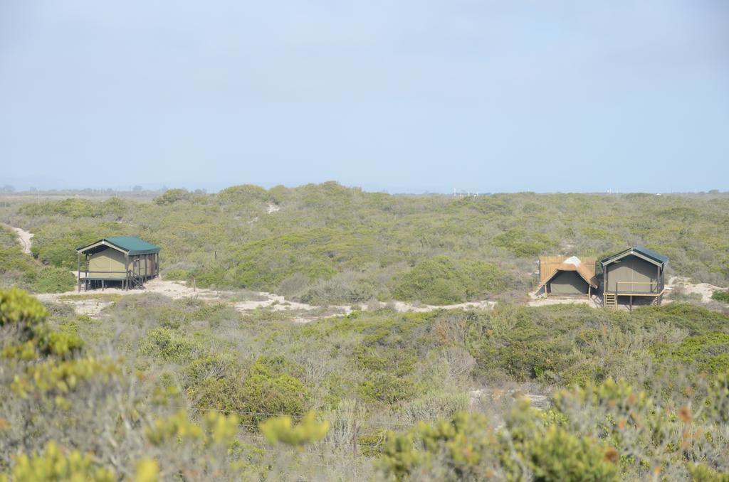 West Coast Luxury Tents Dwarskersbos Exteriér fotografie