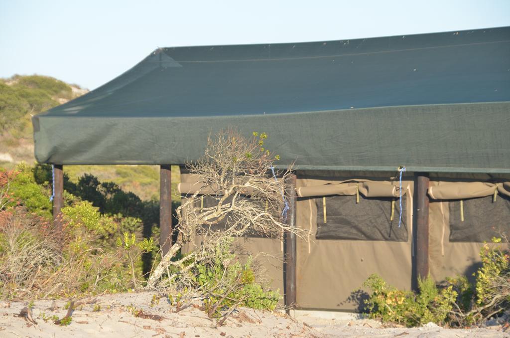 West Coast Luxury Tents Dwarskersbos Exteriér fotografie