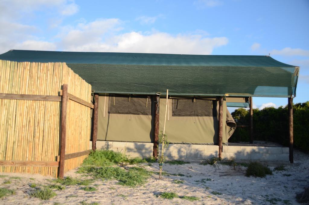 West Coast Luxury Tents Dwarskersbos Exteriér fotografie